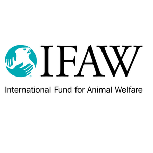 ifaw-foundation
