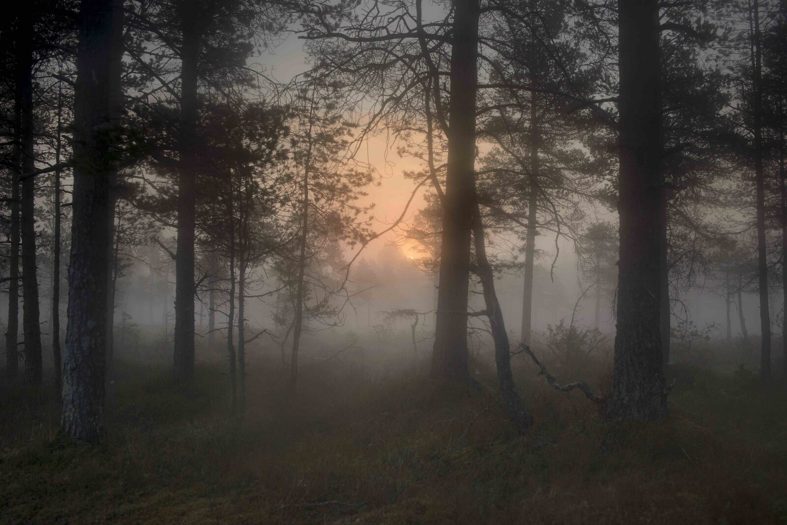 Todd-Hido-Untitled2c-Bright-Black-World2c-2017-Courtesy-Reflex-Gallery-Amsterdam