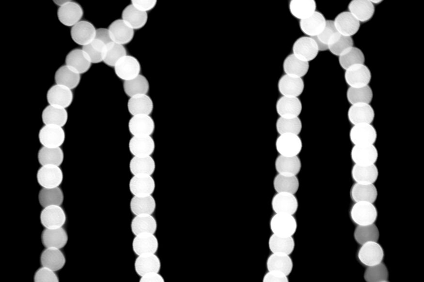 16317565135_cf3c546338_o