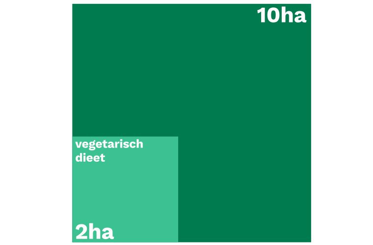 5-bodemverbruik1