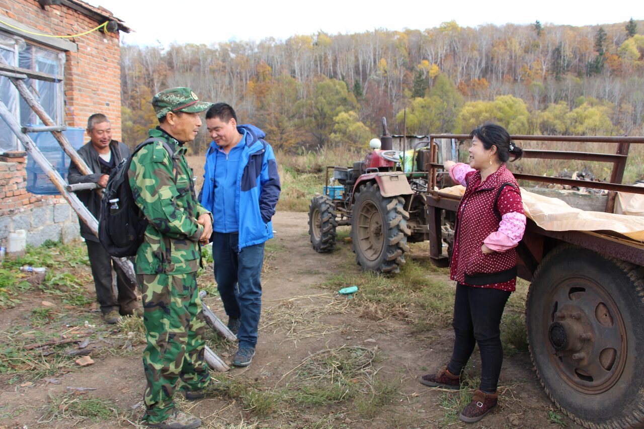 siberian tiger national park – mevrouw Kong – hond opgegeten dr tijger (1)