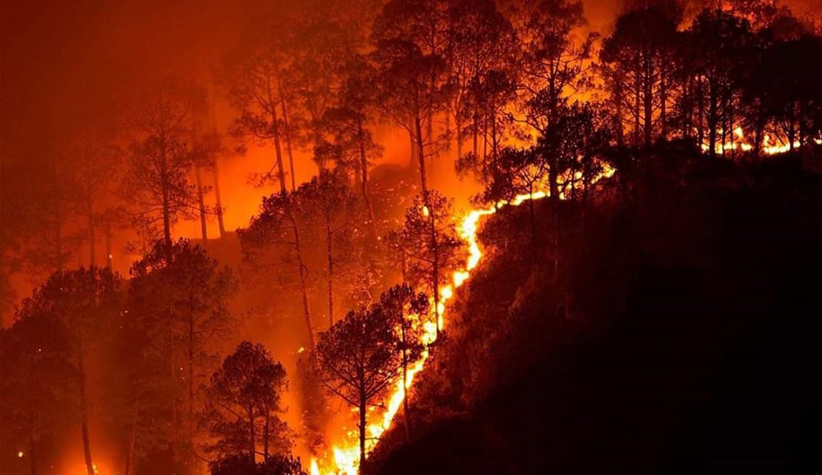 Zijn de bosbranden in Australië het nieuwe normaal? - OneWorld